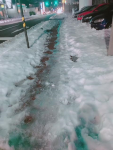 雪道　歩道